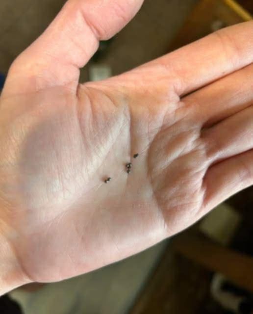 Why Are Tiny Metal Balls Showing Up Under Your Kitchen Sink?