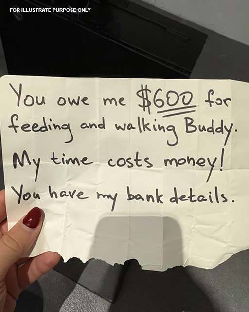 My Mother-in-Law Demanded $600 for Watching Our Dog While I Was in Labor — I Agreed, but Only on One Condition –