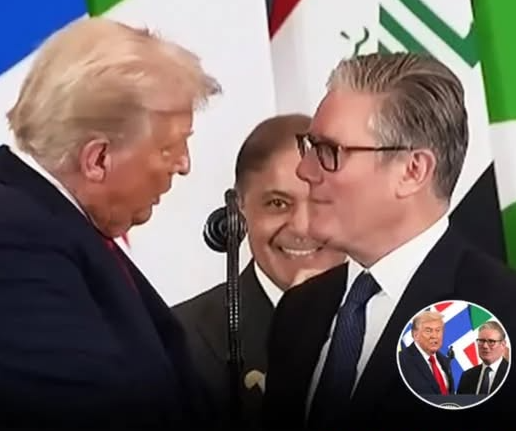 Trump accused of humiliating UK Prime Minister as viewers point out his shameful reaction