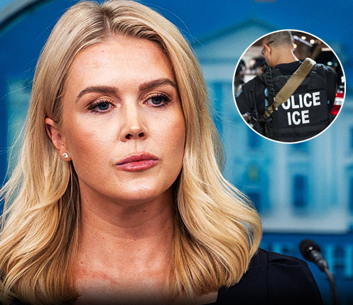 White House breaks silence as Karoline Leavitt’s relative is taken by ICE