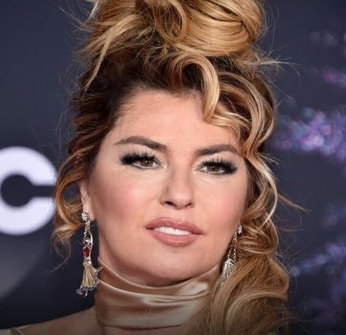 Fans React to Shania Twain, 59, Wearing a ‘Diaper’ During Her Recent Performance – Photos