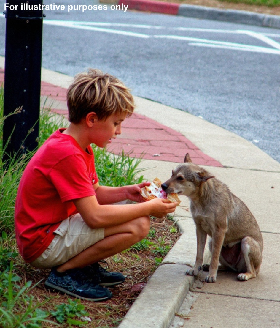 My 10-Year-Old Son Fed a Stray Dog Behind an Old Store Every Day — One Day, a Red SUV Stopped Beside Him, and What Happened Next Still Brings Me to Tears