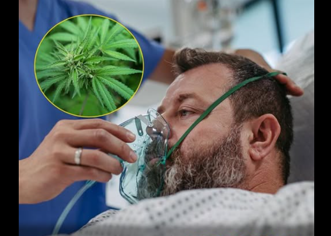 Man describes horrific ‘Scromiting’ reaction as cannabis side effect sends thousands to ER