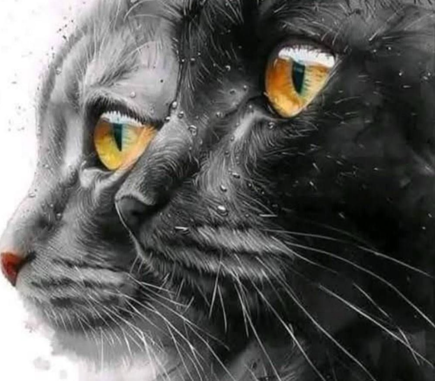 The Surprising Spiritual Meaning of Your Cat! Did Nostradamus Leave Us a Clue?