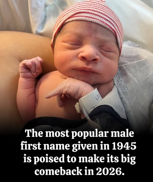 According to the Official Book of First Names, this name from another era will make a real comeback in 2026 among young parents!