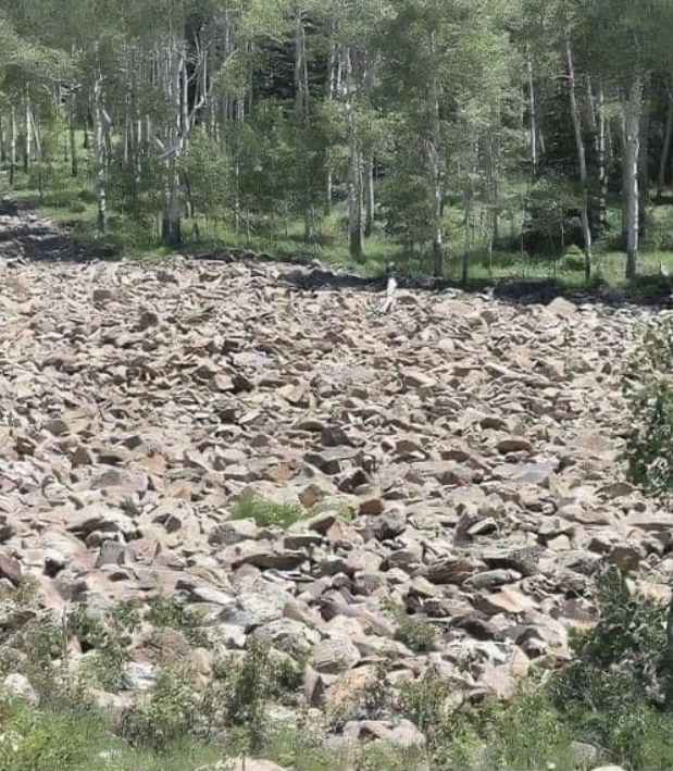 Test Your Observation Skills with This Clever Optical Illusion