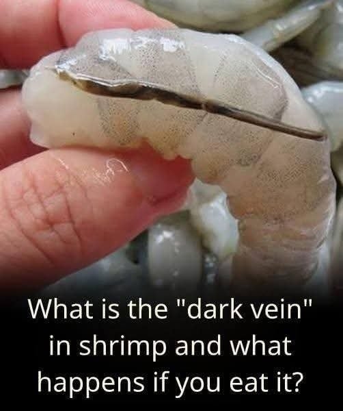 What Is the “Shrimp Vein”? A Complete Guide to Understanding, Cleaning, and Cooking Shrimp