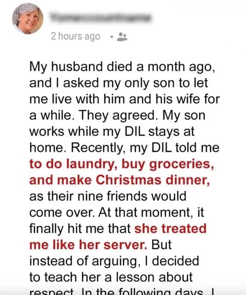 My Daughter-in-Law Treats Me Like Her Personal Maid, So This Christmas, I Decided to Teach Her a Lesson She Will Never Forget
