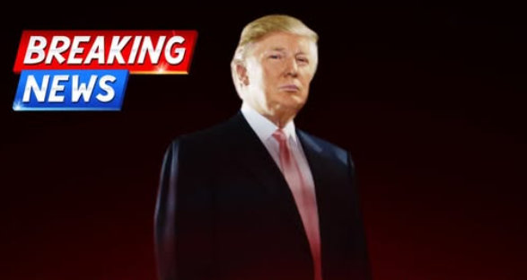 ABC Anchor Admits Truth As Trump’s DC Crackdown Yields Big Results