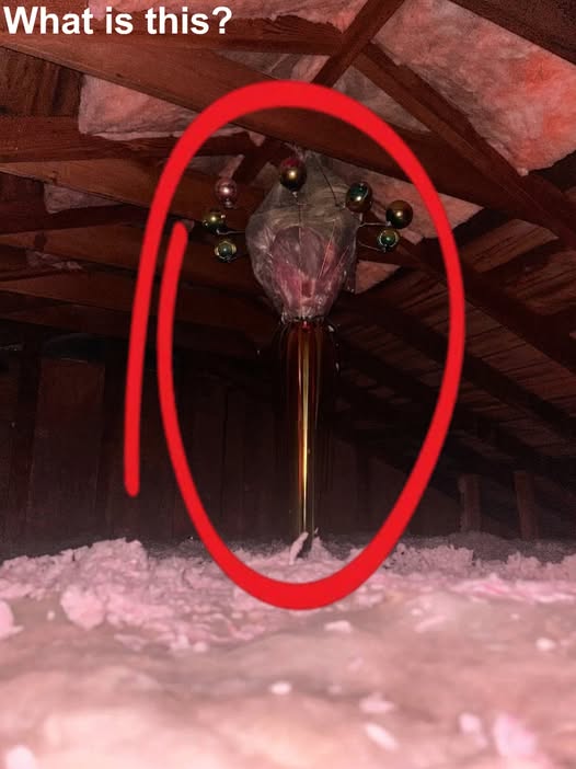THE CHILLING TRUTH ABOUT WHAT IS HIDING IN YOUR ATTIC AND THE SHOCKING REASON WHY THE UNEXPLAINED OBJECTS IN THE DARK CORNERS OF YOUR HOME ARE NOT WHAT THEY SEEM