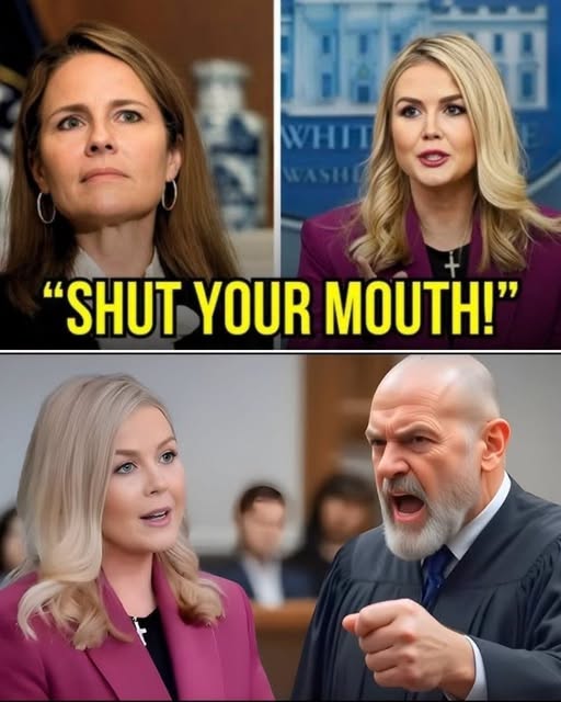 CONSTITUTIONAL CRISIS IN THE COURTROOM Judge Hammers Leavitt With 100K Fine Before Pam Bondis Stunning Move Leaves The Nation In Total Shock