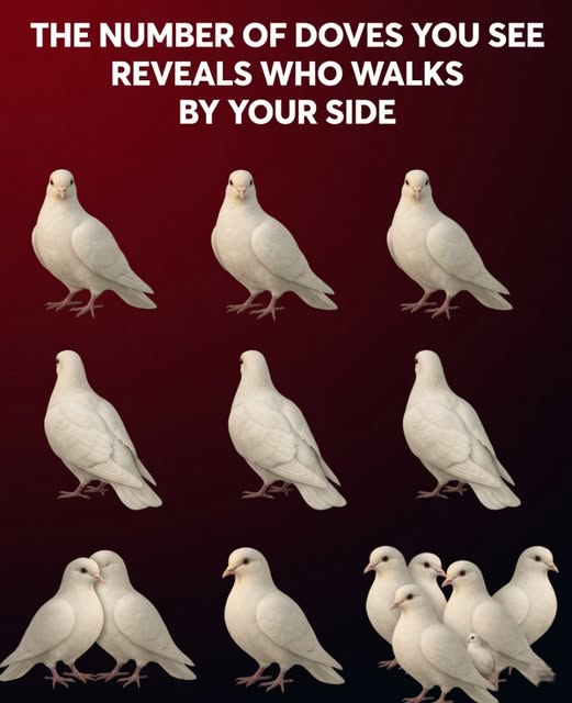 The Secret Behind The Doves Revealed