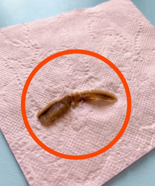 The Mystery Item In My Girlfriends Bathroom That Had Me Paralyzed With Fear For Hours