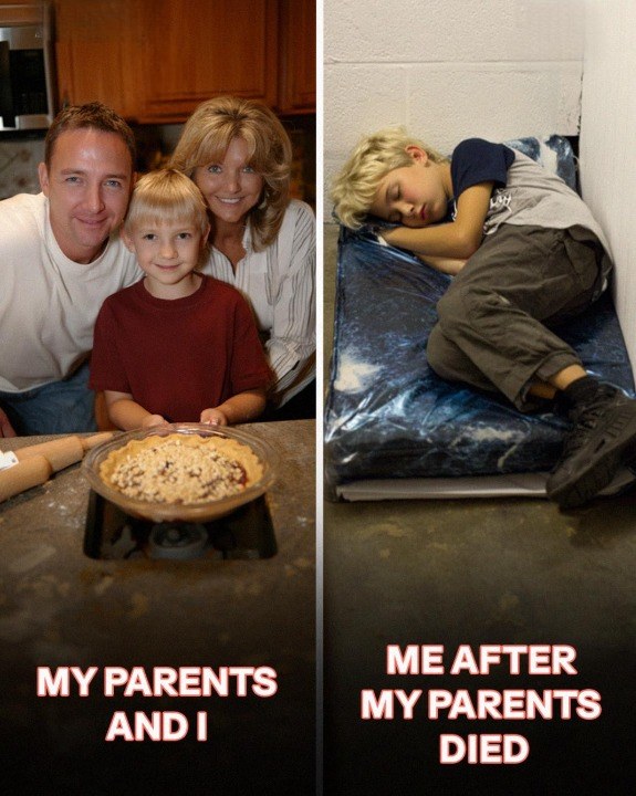 After My Parents Died, My Aunt Took Everything I Had and Left Me Sleeping on the Floor. Years Later, She Showed Up at My Door