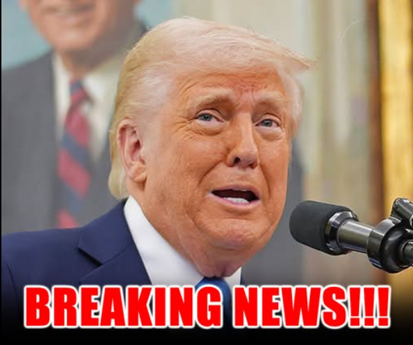 No President Ever Tried This. Trump Just Did — On Live Camera