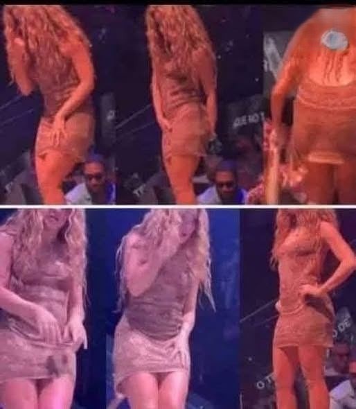 Shakira Abruptly Halts Miami Performance After Unacceptable Fan Misconduct Leaves Crowd Stunned