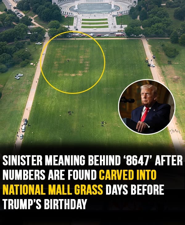 Sinister meaning behind ‘8647’ message after numbers are found carved into National Mall grass