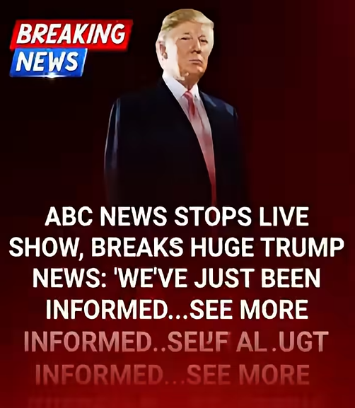 ABC Anchor Admits Truth As Trump’s DC Crackdown Yields Big Results