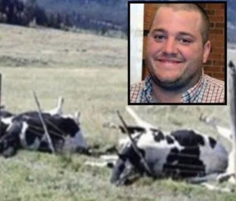 A farmer and 16 cows discovered lifeless – the heartbreaking reason why will shatter your heart!