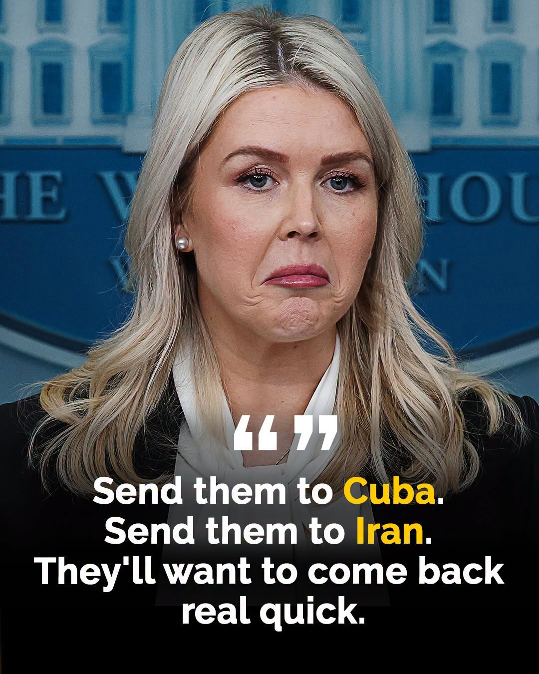 White House Press Secretary Karoline Leavitt this wee… See more