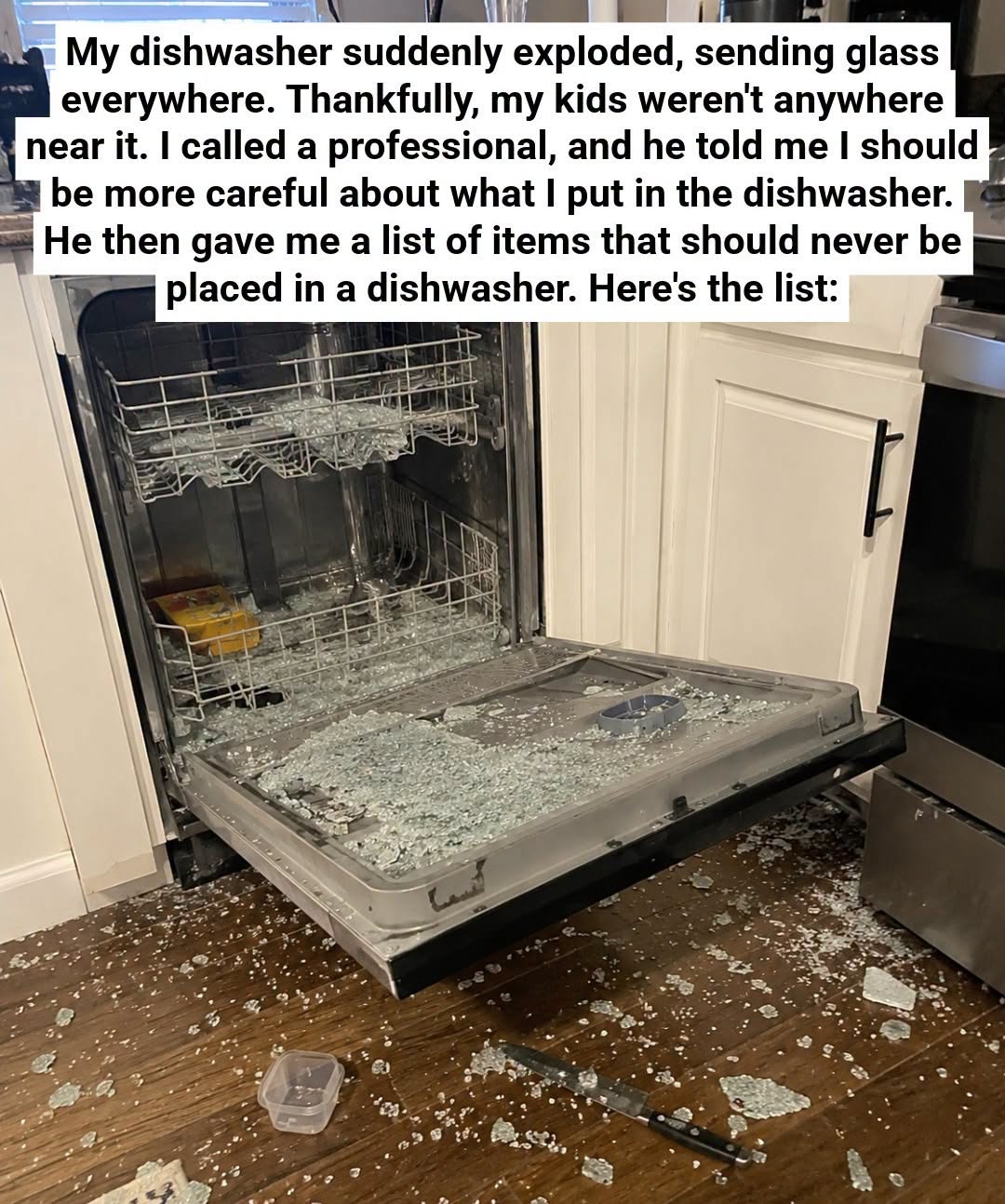 Things You Absolutely Should Not Put in a Dishwasher