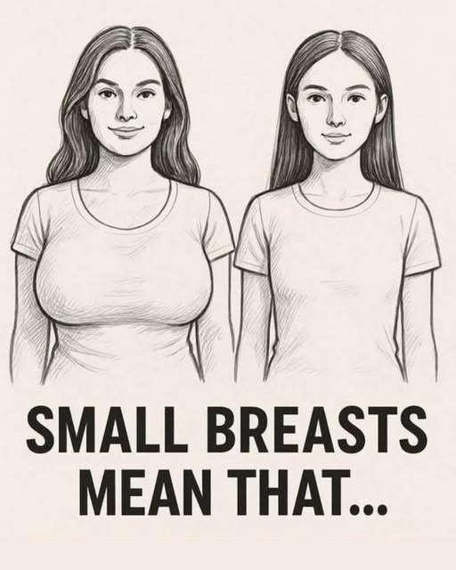 The Shocking Myth About Breast Size and Hormones That Every Woman Has Gotten Completely Wrong!