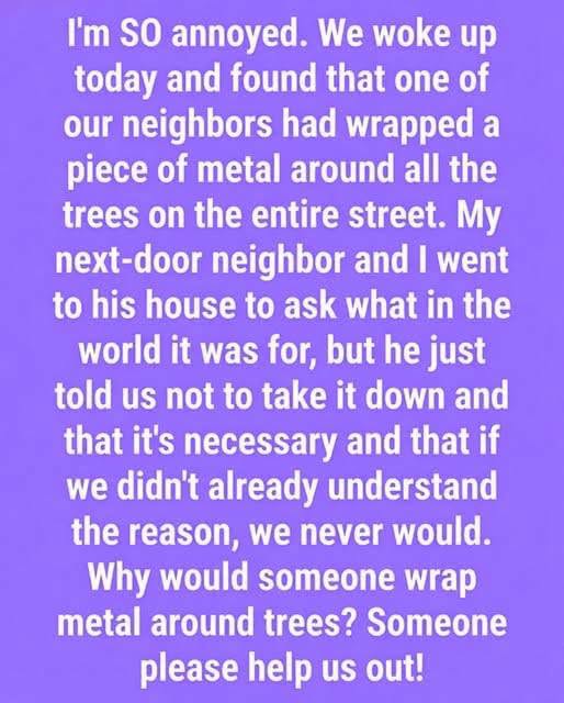 Those Metal Bands Around Trees Aren’t Just Random Decorations… They Serve A Specific Purpose.