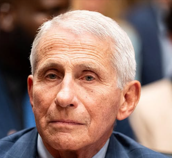 Dr. Fauci invokes Fifth Amendment over 100 times in Senate hearing