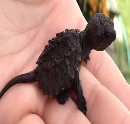 This young girl spotted something unusual hidden in the grass