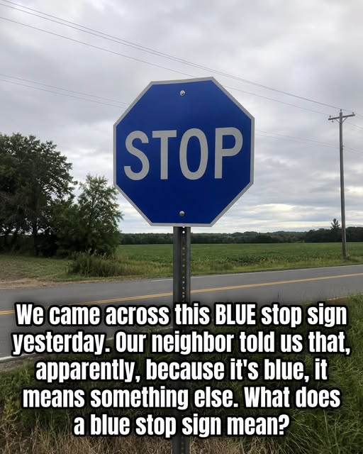 The Meaning Behind a Blue Stop Sign