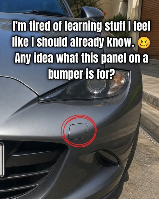 Small Panel on Bumper: Why It’s There