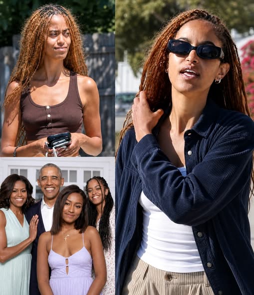 What Is Malia Obama Working on Behind the Scenes? Her Next Chapter Is Drawing Attention..