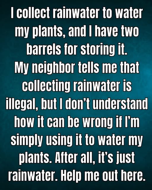 Can You Actually Go to Jail for Collecting Rainwater?