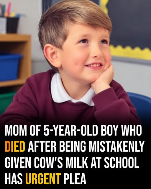 Mom of 5-year-old boy who died after being mistakenly given cow’s milk at school has urgent plea