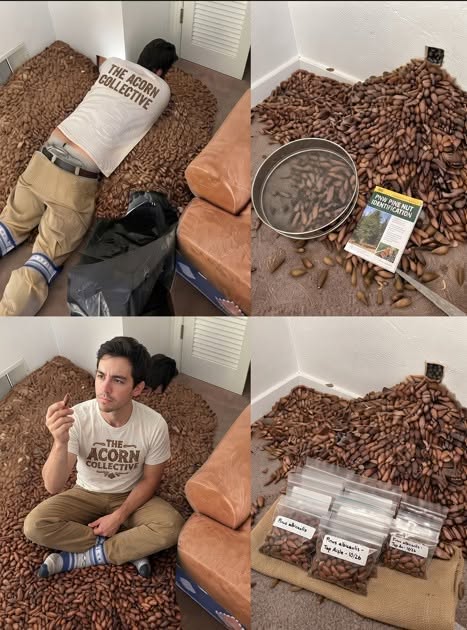 He Opened the Wall to Find the Source of a Strange Smell and Was Stunned