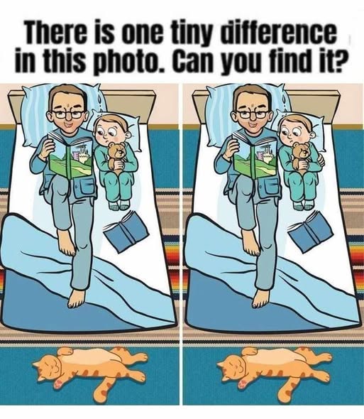 Can You Spot the Tiny Difference? This Picture Puzzle Tests Your Observation Skills