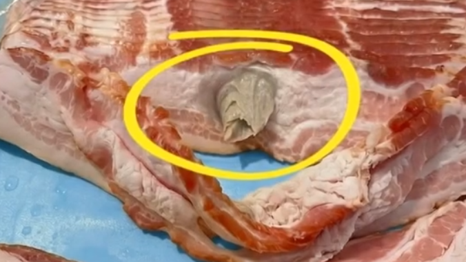 I Bought Regular Bacon From the Store But What I Found Inside Left Me Terrified to Ever Eat Meat Again